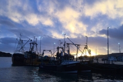 Port Ellen Harbour - Fishing boats
